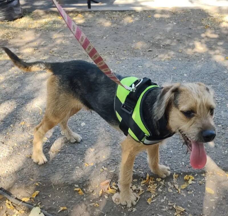 Créditos: Instagram