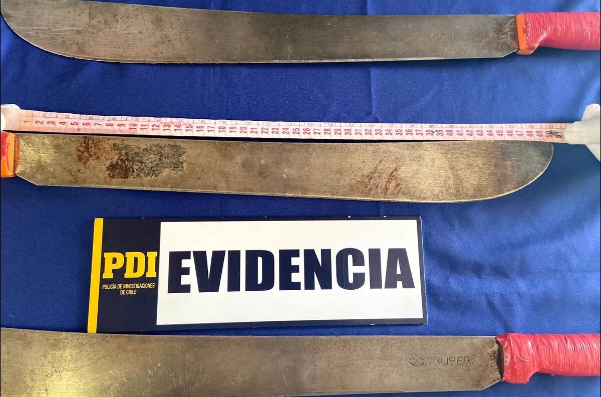 Hermana de malabarista asesinado por carabinero entregó los "sables" a la PDI: Carabineros nunca los tuvo en su poder