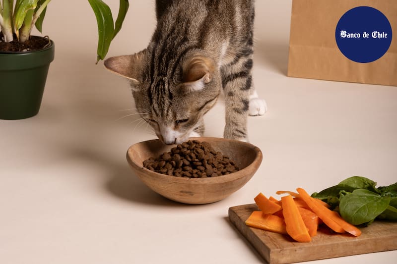 Son 13 las rebajas disponibles.