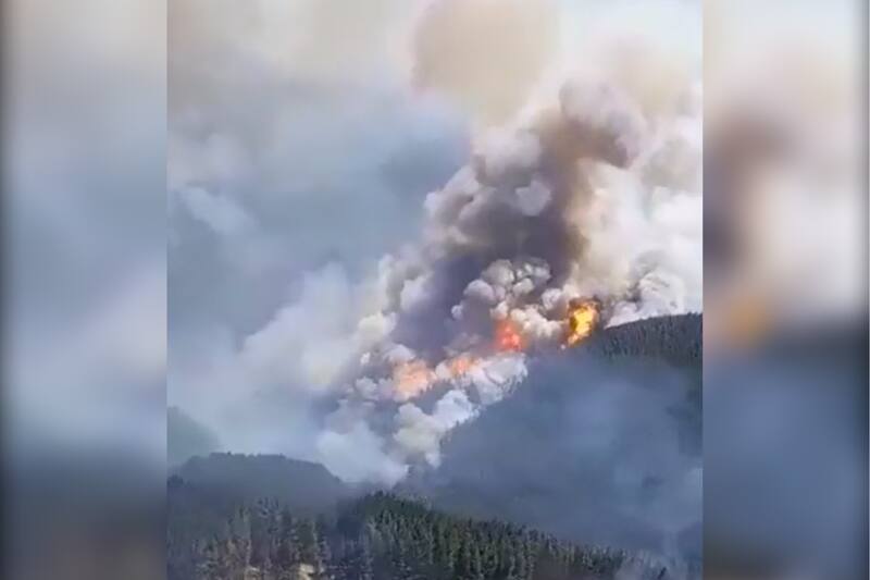 Senapred solicitó la evacuación de las personas por la reactivación del incendio. Créditos: Captura video