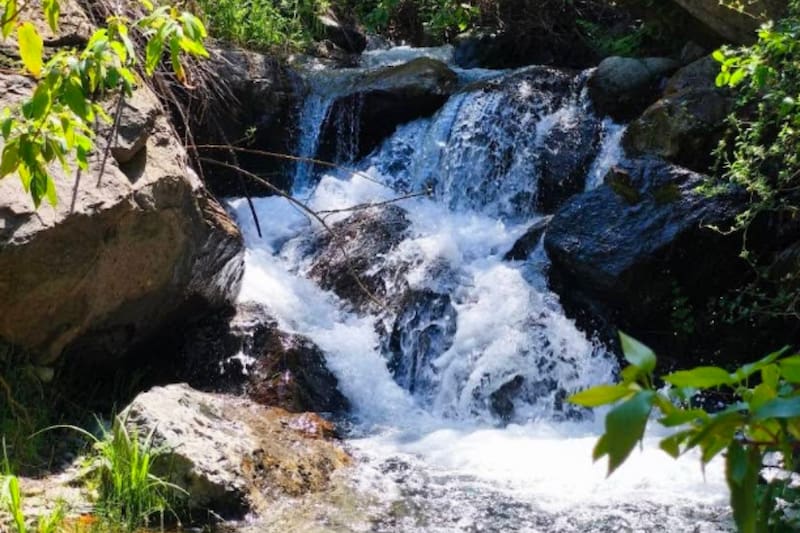 En el lugar, puedes encontrar una cascada escondida en medio de los árboles perfecta para refrescarse en primavera y verano. Créditos: Google Maps.