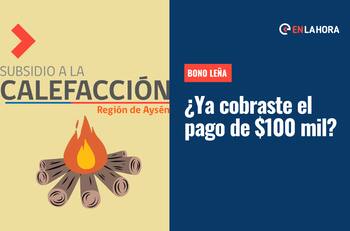 Bono Leña: ¿No has cobrado tus $100.000? Consulta solo con tu RUT si tienes el pago pendiente