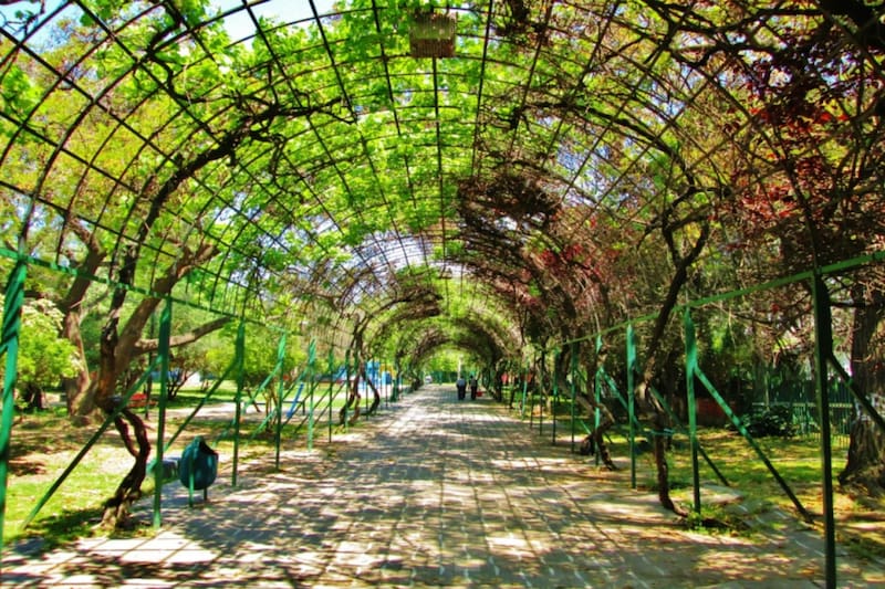 Este espacio al aire libre también ofrece estructuras de metal en la que niños y niñas pueden jugar. Créditos: Municipalidad de Ñuñoa.