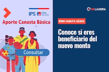 Bono Canasta Básica: Ingresa tu RUT y consulta si eres beneficiario del nuevo monto que se paga en octubre