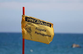 Estas tres playas parten la semana con prohibición de baño en la región de O’Higgins por fragata portuguesa
