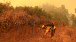 "Noche en vela y rostros de fatiga": Prensa internacional lamenta situación de Chile por incendios forestales