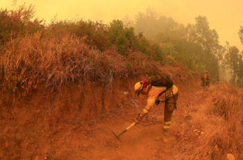 "Noche en vela y rostros de fatiga": Prensa internacional lamenta situación de Chile por incendios forestales