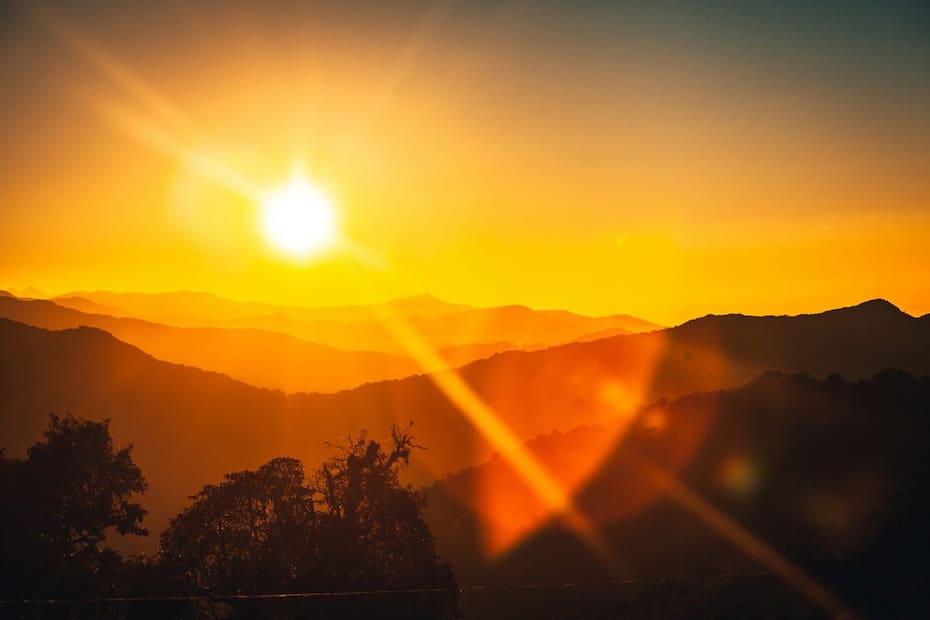 Los suplementos de vitamina D deben ser acompañados de alimentos ricos en grasa, según la nutricionista Javiera Molina.
Créditos: Unsplash.