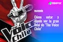 Gran Final "The Voice Chile": Acá puedes votar por tu participante favorito
