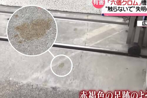 Registro de las huellas que dejó el felino luego de caer en el tanque de tres metros de profundidad que contenía sustancias químicas.