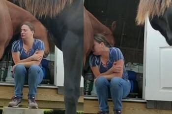 VIDEO | Caballo abraza a mujer mientras llora y el emotivo registro se vuelve viral en redes sociales