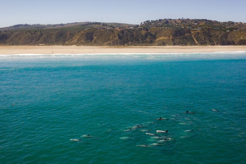 Conoce los detalles de cómo visitar esta playa de Chile