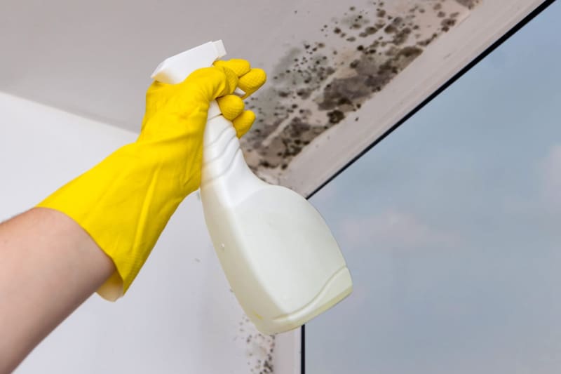 puedes eliminar los hongos del baño.