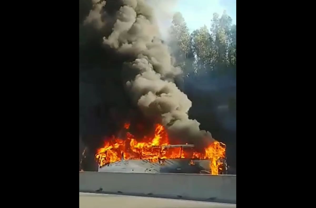 VIDEO | Incendian completamente un bus en ruta que une Concepción y Cabrero