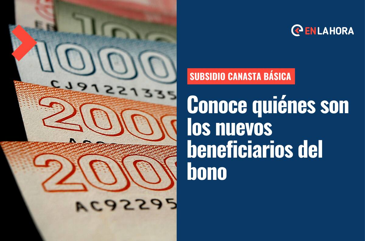 Subsidio Canasta Básica: Conoce quiénes son los nuevos beneficiarios del bono
