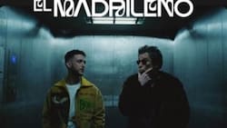 C. Tangana reunió a Jorge Drexler y Andrés Calamaro en dos videoclips con "Nominao y "Hong Kong"