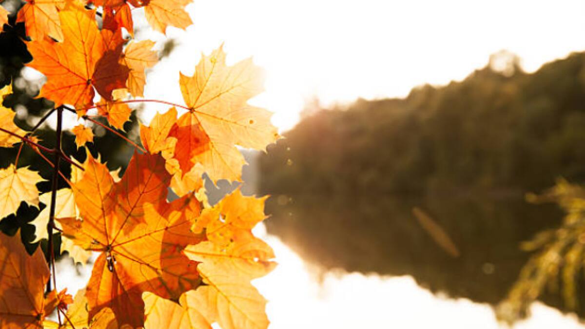 Veranito de San Juan: ¿Qué es, cuánto dura y qué significa el dicho en la cultura latinoamericana?