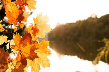 Veranito de San Juan: ¿Qué es, cuánto dura y qué significa el dicho en la cultura latinoamericana?