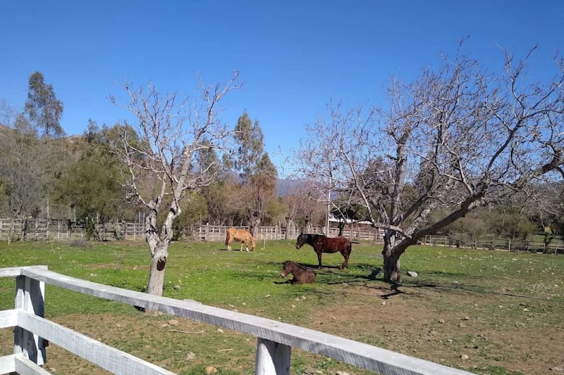 Es un espacio diseñado para familias con niños, ya que es tranquilo y acogedor.
Créditos: Google Maps.