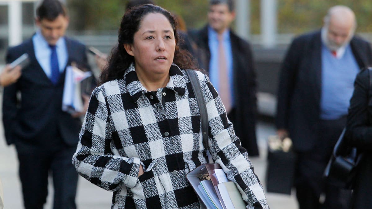 Caída al Mapocho: Fiscal Chong presentó batería de pruebas contra carabinero imputado