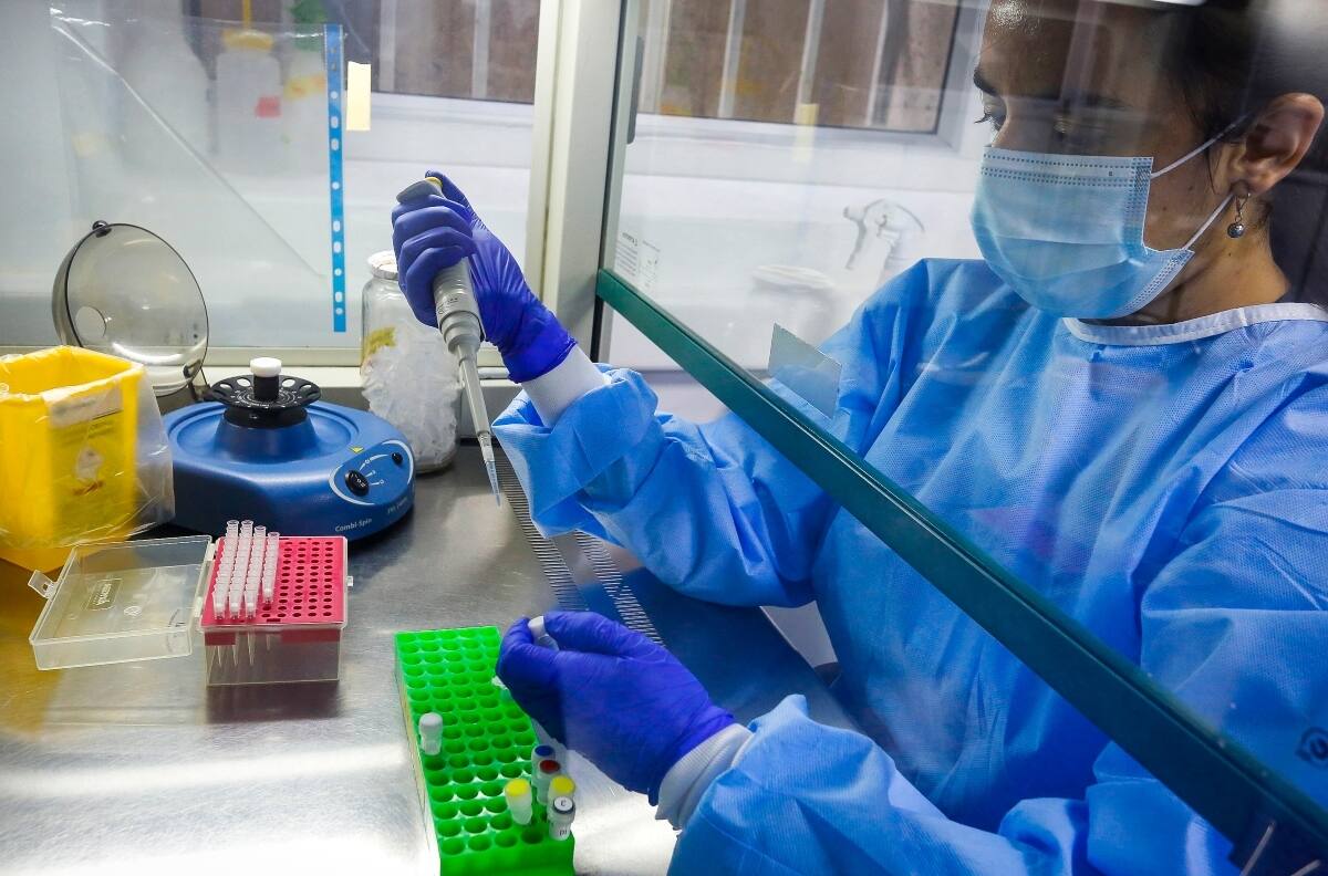 Minsal y PCR de Franco Parisi: “El término inconcluso no existe como una respuesta”