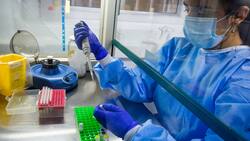 Minsal y PCR de Franco Parisi: “El término inconcluso no existe como una respuesta”