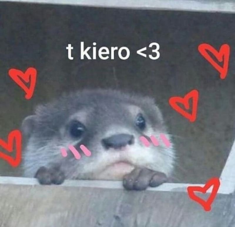 Expresa tu amor con esas imágenes.