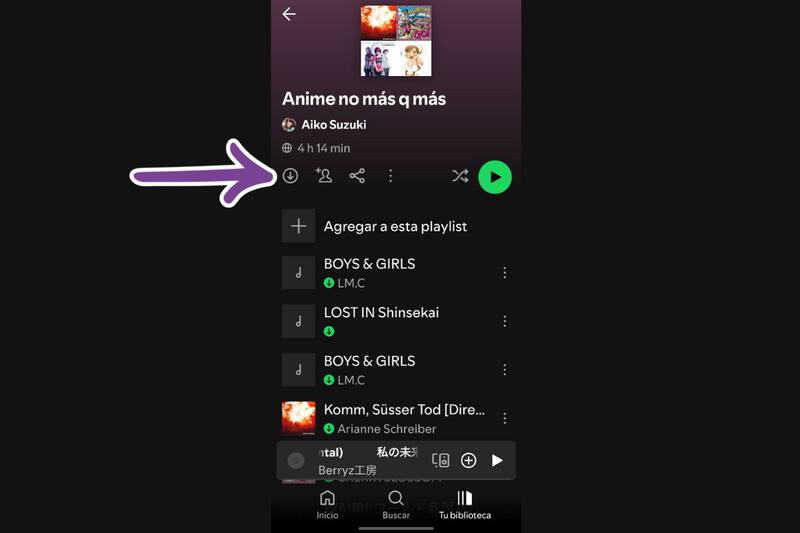 Presiona este botón para descargar las canciones en tu teléfono.