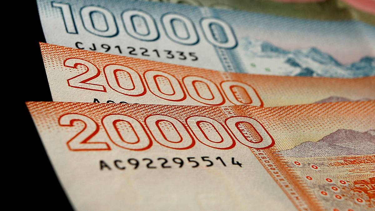 Bonos Pendientes: Consulta con tu rut si tienes algún beneficio sin cobrar