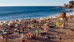 Esta playa clásica de Viña del Mar es perfecta para una escapada por el día de último minuto: está al lado de Reñaca
