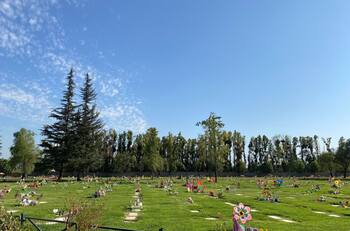 Firma dueña de cementerios demanda por más de mil millones a empresa chilena distribuidora de Internet