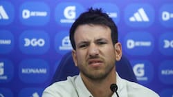 Estuvo un año en Chile y fracasó: el DT que se sumó a la lista de candidatos para la U