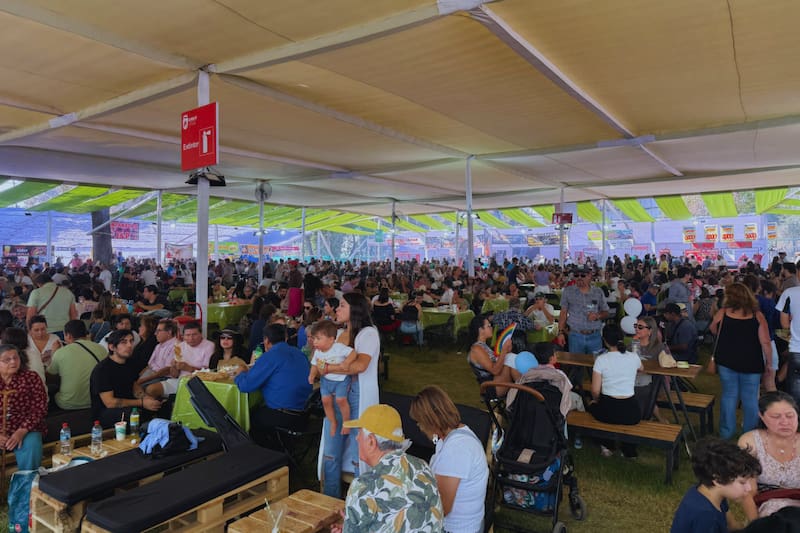 El panorama ofrecerá de todo para la entretención familiar, desde el viaje en tren hasta gozar de la clásica fiesta curicana. Créditos: Tren del Recuerdo.