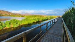 El humedal que está a menos de una hora de Santiago y es ideal para una escapada antes del fin del verano