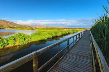 El humedal que está a menos de una hora de Santiago y es ideal para una escapada antes del fin del verano