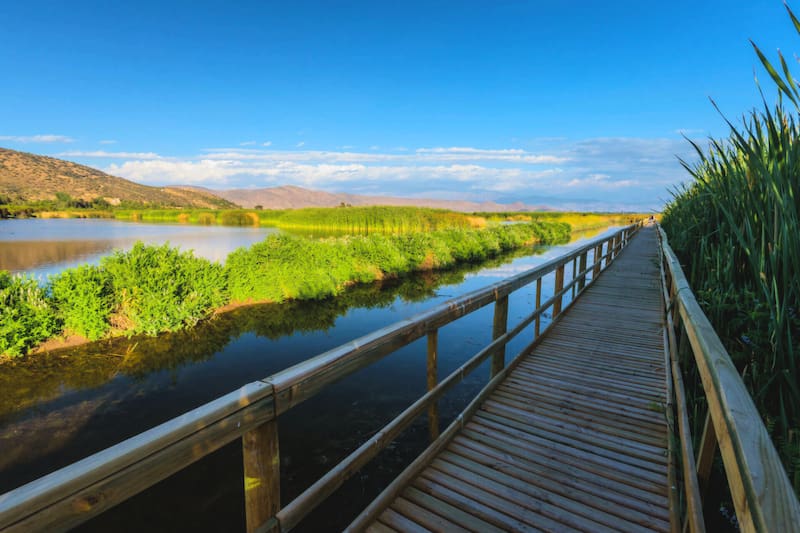 Un bello paraje para visitar cerca de Santiago antes de que acabe el verano. Créditos: Ladera Sur.