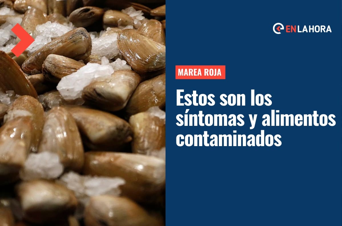 Alerta de Marea Roja: Conoce los alimentos que pueden estar contaminados y los síntomas ante su consumo