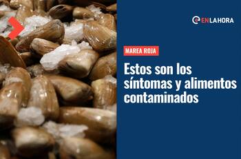 Alerta de Marea Roja: Conoce los alimentos que pueden estar contaminados y los síntomas ante su consumo
