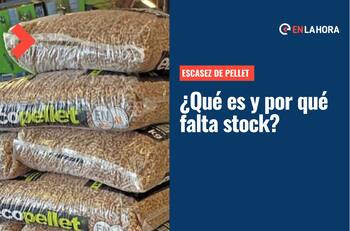 Escasez de pellet: ¿Qué es y a qué se debe la falta de stock que afecta al sur del país?