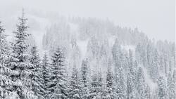 VIDEO | Asombrosa e inédita nieve sorprendió a los habitantes de Cobquecura