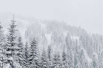 VIDEO | Asombrosa e inédita nieve sorprendió a los habitantes de Cobquecura