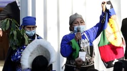 Constituyentes de pueblos originarios exigen justicia tras asesinato de comunero Pablo Marchant