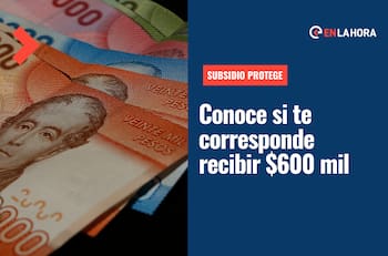 Subsidio Protege: ¿Quiénes podrán recibir $600 mil y cómo postular a este beneficio?