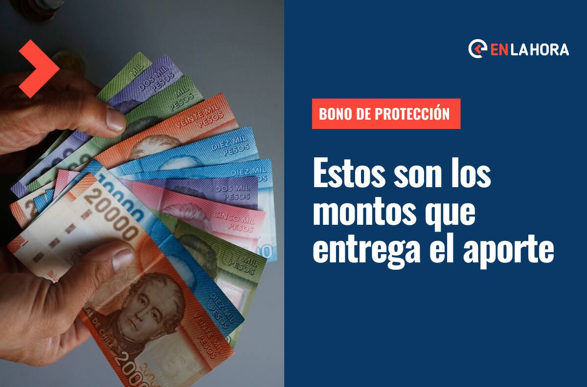 Bono de Protección: Revisa cuáles son los montos que entrega este beneficio