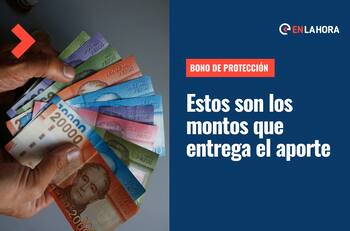 Bono de Protección: Revisa cuáles son los montos que entrega este beneficio