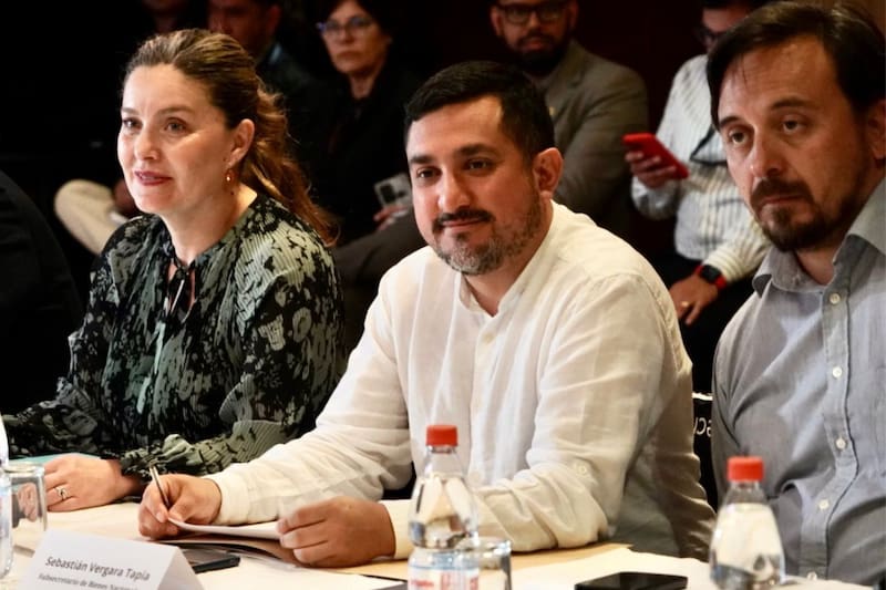 Sebastián Vergara figura en el ministerio desde marzo de 2023.