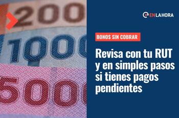 Bonos Pendientes: Revisa con tu RUT si tienes algún beneficio pendiente de cobro