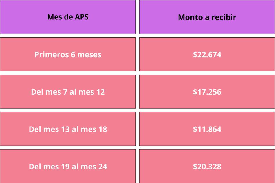 Estos son los montos que otorga este beneficio.