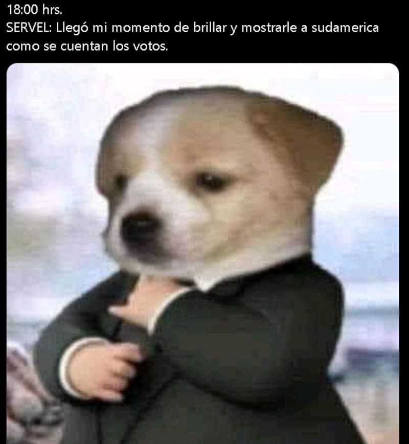 Los mejores memes de las elecciones 2024.