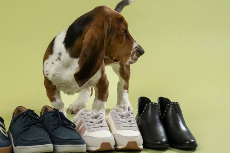 Así puedes obtener este descuento en Hush Puppies gracias a Banco de Chile.
